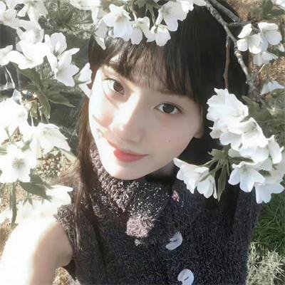 香蜜沉沉烬如霜